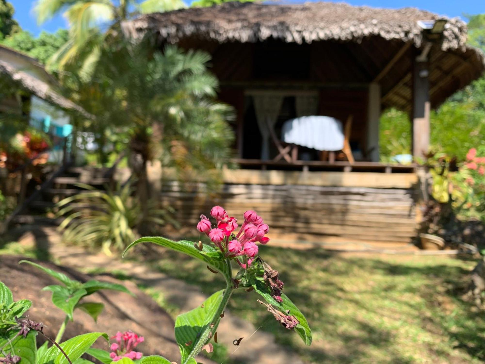 Bed and Breakfast Les Jardins D'Ankify Andimaka Екстер'єр фото