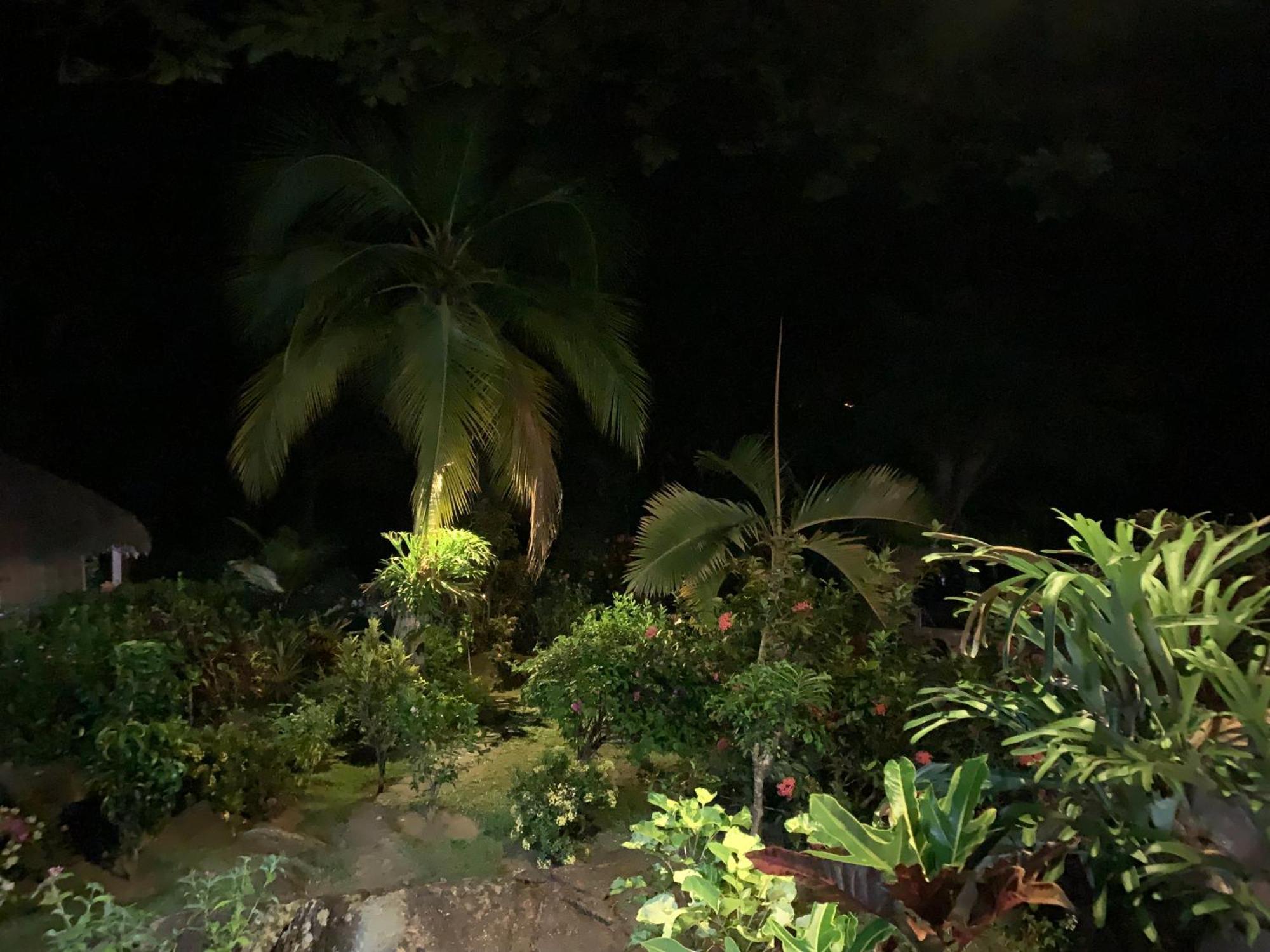 Bed and Breakfast Les Jardins D'Ankify Andimaka Екстер'єр фото